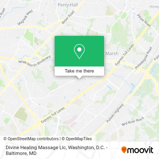 Divine Healing Massage Llc map