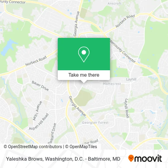Yaleshka Brows map