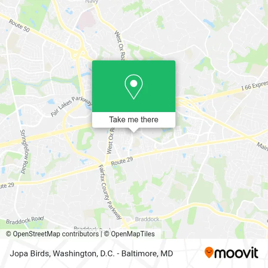 Jopa Birds map