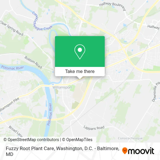 Fuzzy Root Plant Care map