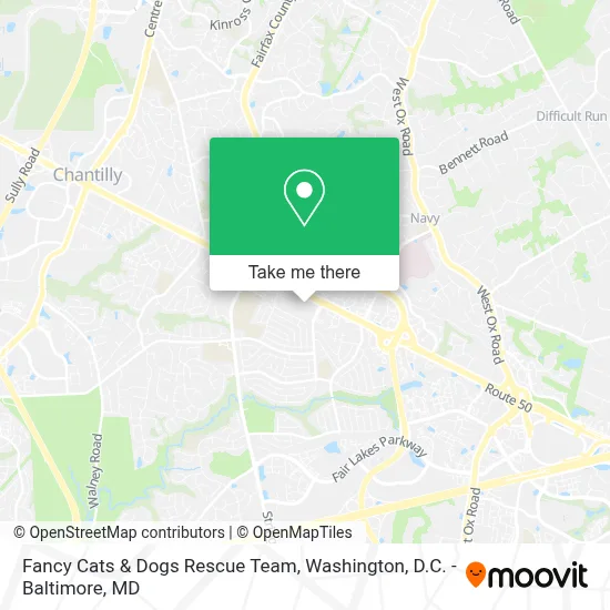 Fancy Cats & Dogs Rescue Team map