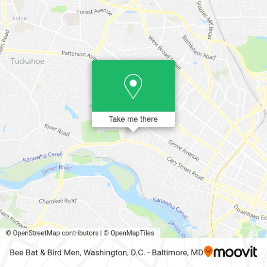 Bee Bat & Bird Men map