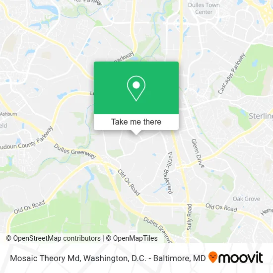 Mosaic Theory Md map