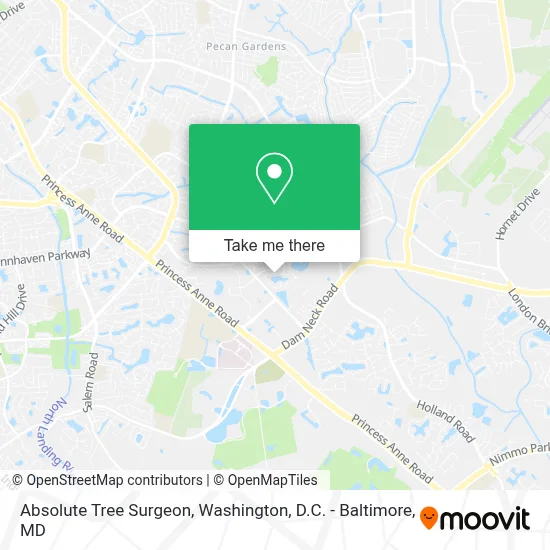 Absolute Tree Surgeon map