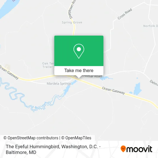 The Eyeful Hummingbird map