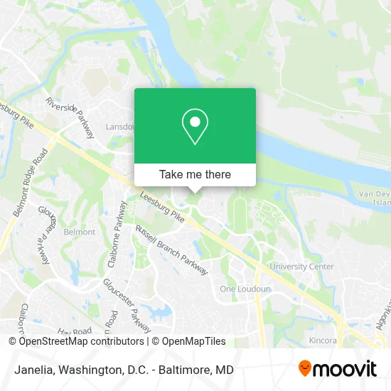Janelia map