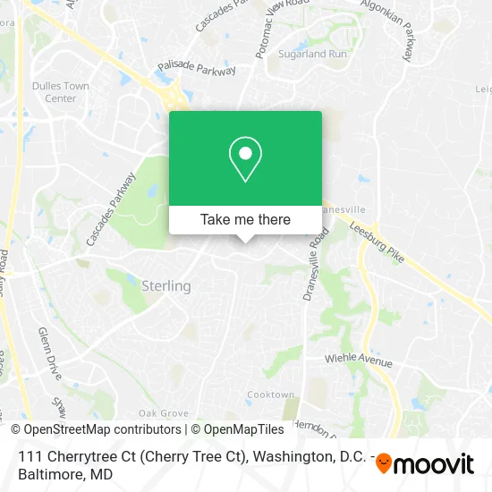 111 Cherrytree Ct (Cherry Tree Ct) map
