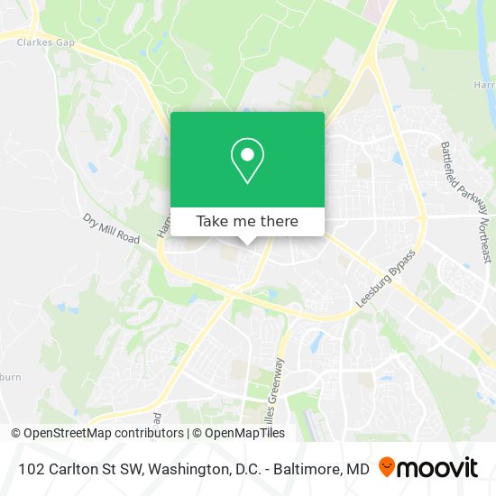 102 Carlton St SW map