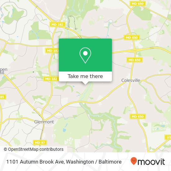 1101 Autumn Brook Ave, Silver Spring, MD 20906 map