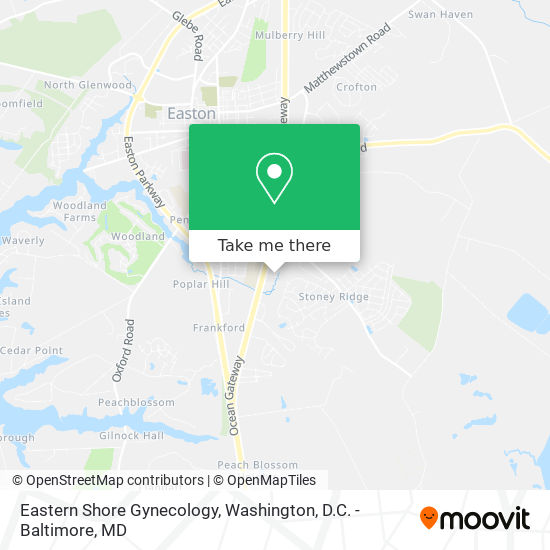 Eastern Shore Gynecology map