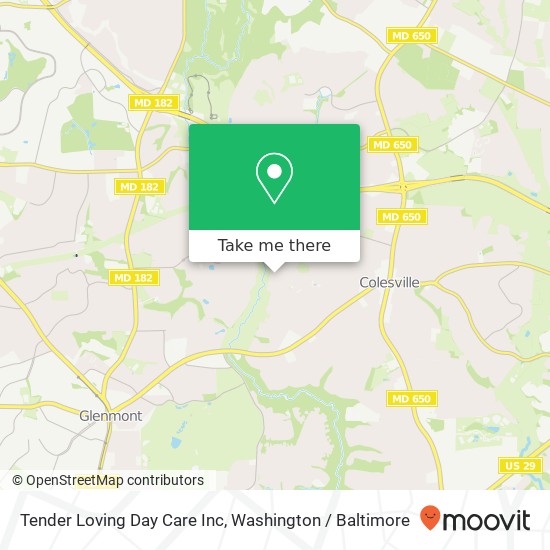 Tender Loving Day Care Inc map