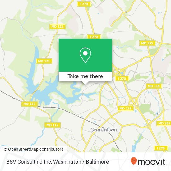 BSV Consulting Inc map