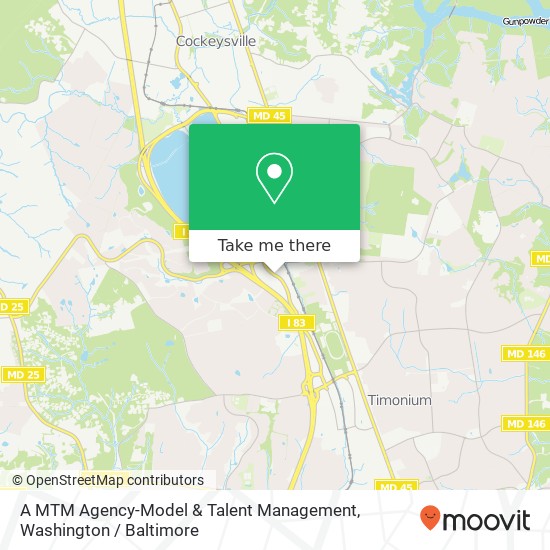A MTM Agency-Model & Talent Management map