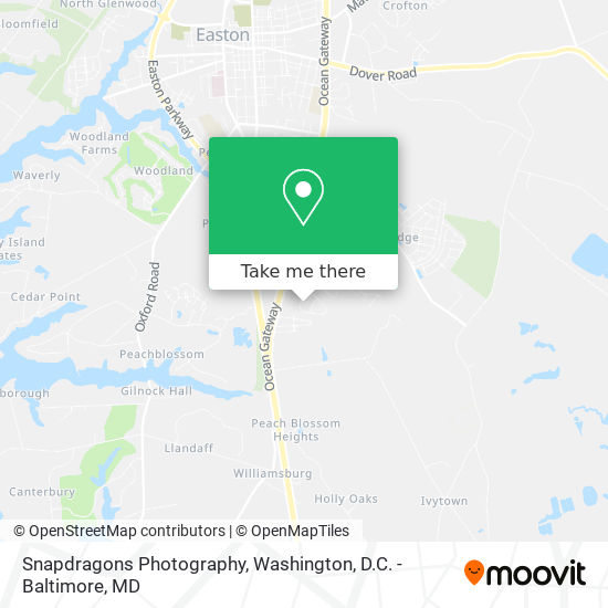 Mapa de Snapdragons Photography
