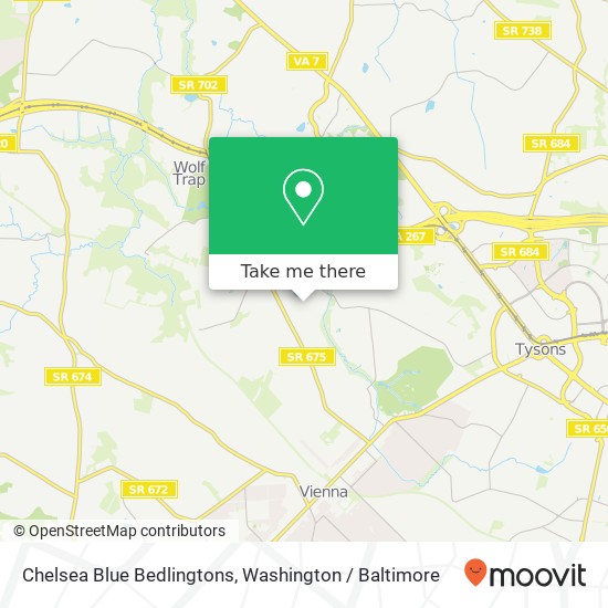 Mapa de Chelsea Blue Bedlingtons