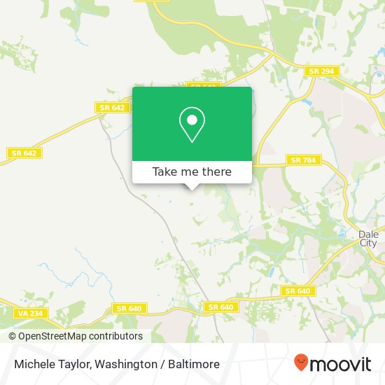 Michele Taylor map