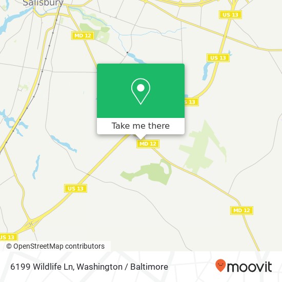6199 Wildlife Ln, Salisbury, MD 21804 map