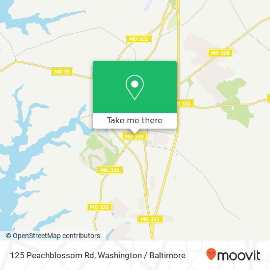 Mapa de 125 Peachblossom Rd, Easton, MD 21601