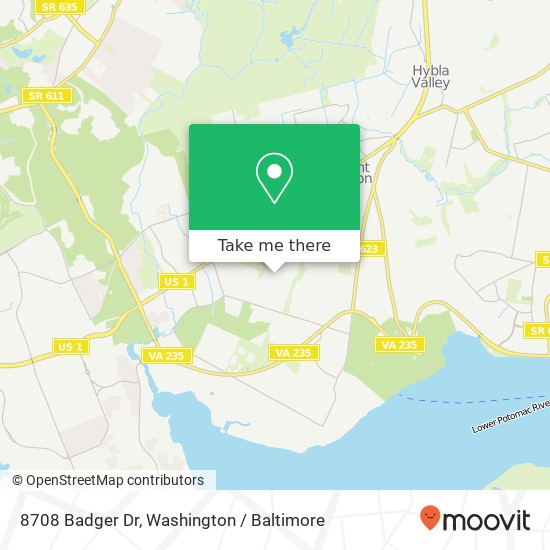 Mapa de 8708 Badger Dr, Alexandria, VA 22309