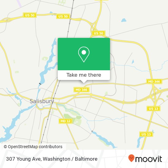 Mapa de 307 Young Ave, Salisbury, MD 21804