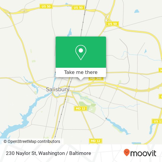 Mapa de 230 Naylor St, Salisbury, MD 21804