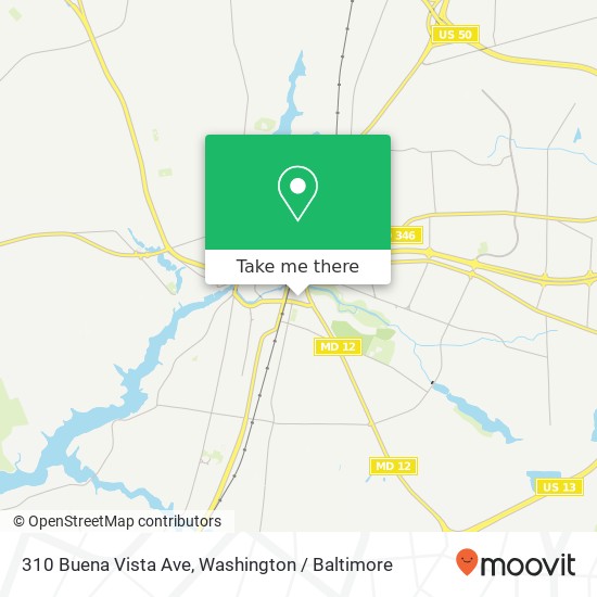 310 Buena Vista Ave, Salisbury, MD 21804 map