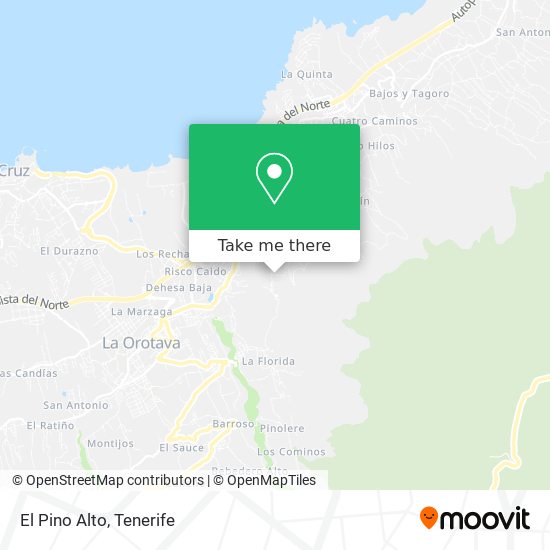 El Pino Alto map