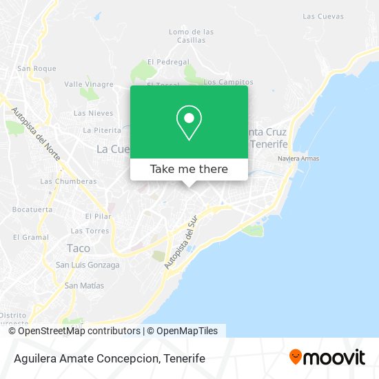 Aguilera Amate Concepcion map