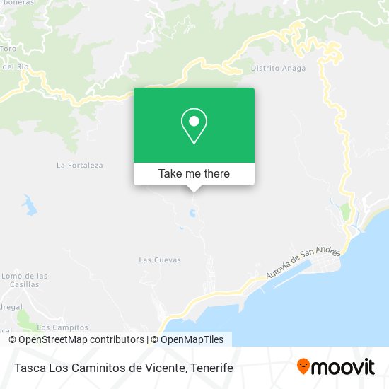 Tasca Los Caminitos de Vicente map