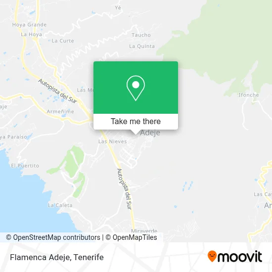 Flamenca Adeje map