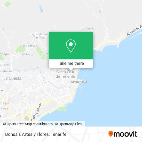 Bonsais Artes y Flores map