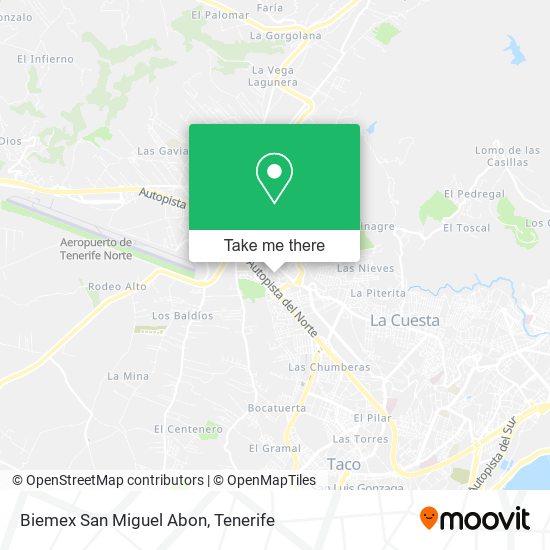 Biemex San Miguel Abon map