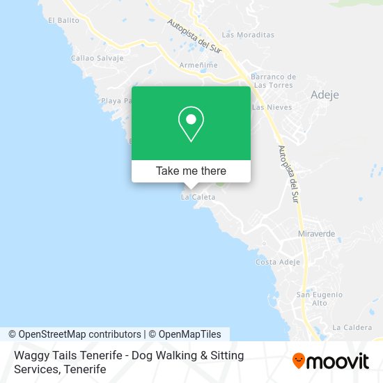 Waggy Tails Tenerife - Dog Walking & Sitting Services map