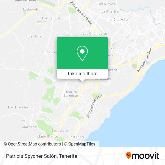 Patricia Spycher Salón map
