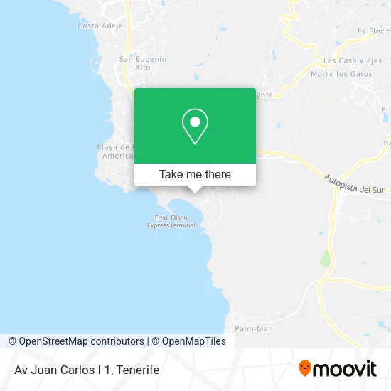Av Juan Carlos I 1 map