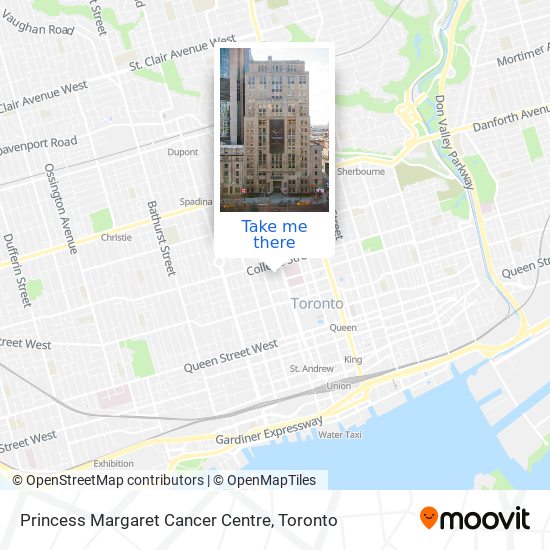 Princess Margaret Cancer Centre plan