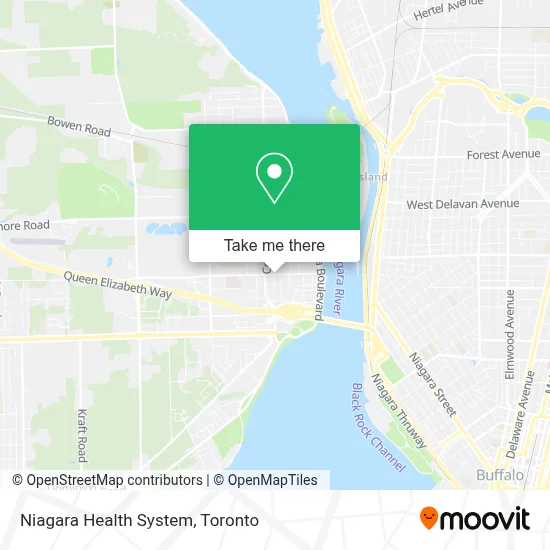 Niagara Health System plan