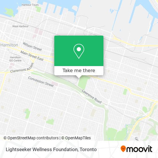 Lightseeker Wellness Foundation plan