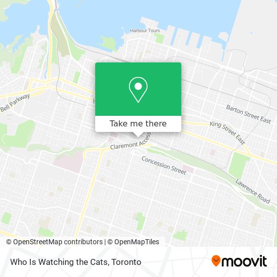 Who Is Watching the Cats map