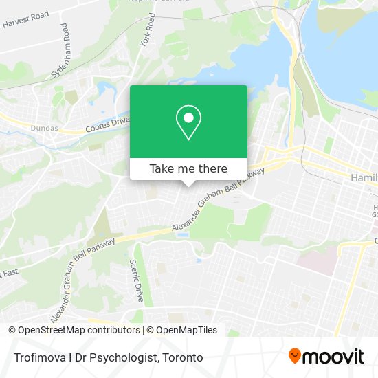 Trofimova I Dr Psychologist map