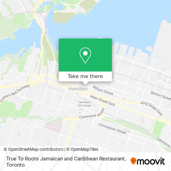 True To Roots Jamaican and Caribbean Restaurant map