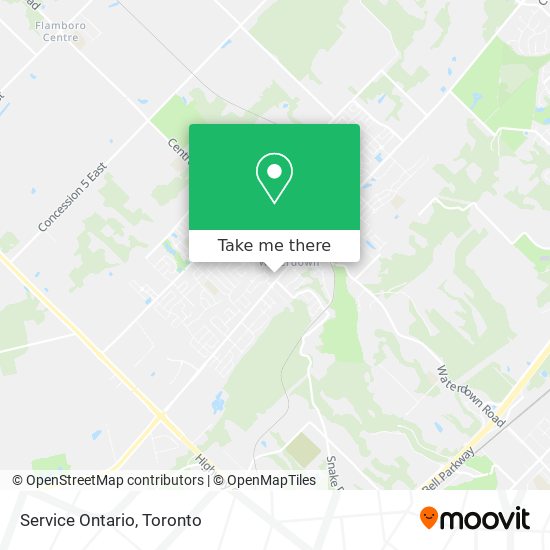 Service Ontario plan