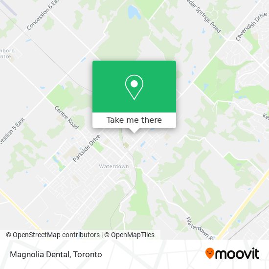 Magnolia Dental plan