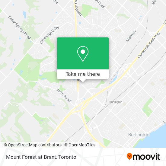 Mount Forest at Brant map