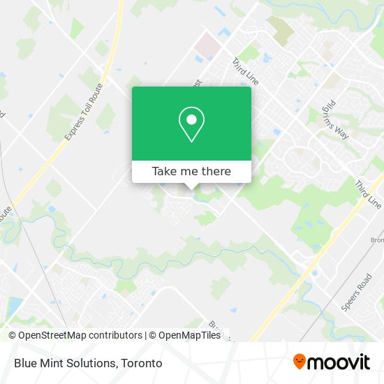 Blue Mint Solutions map