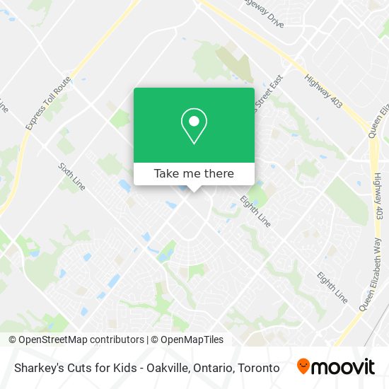 Sharkey's Cuts for Kids - Oakville, Ontario plan