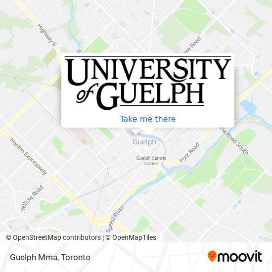 Guelph Mma plan