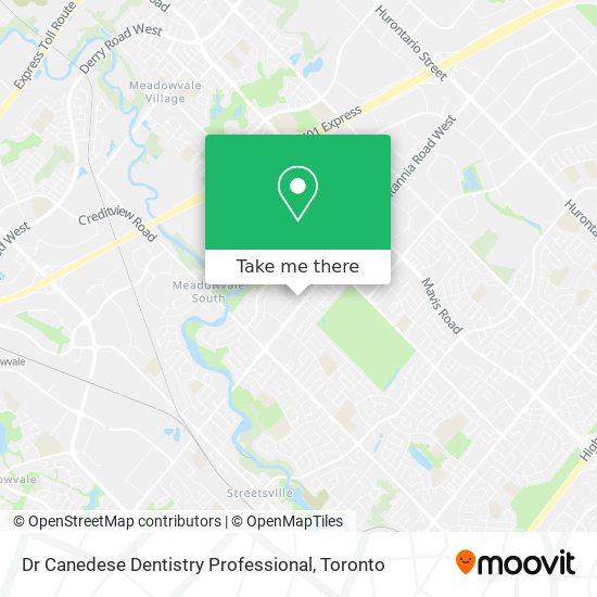 Dr Canedese Dentistry Professional map