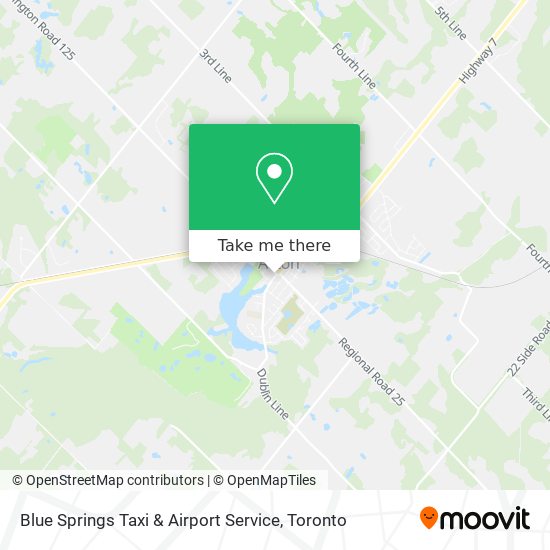 Blue Springs Taxi & Airport Service plan