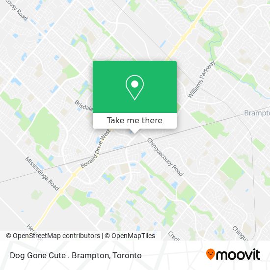 Dog Gone Cute . Brampton plan